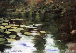 Yerres, en el estanque, nenúfares Yerres, en el estanque, nenúfares