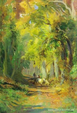 bosque de otoño bosque de otoño