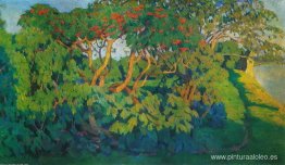 Arbusto de saúco. Paisaje decorativo. Pskov Arbusto de saúco. Paisaje decorativo. Pskov