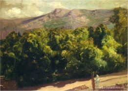 Jardines de San Ildefonso Jardines de San Ildefonso