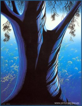 Pino azul Pino azul