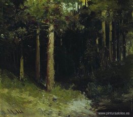 Bosque Bosque