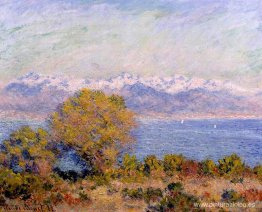 Los Alpes vistos desde Cap d'Antibes Los Alpes vistos desde Cap d'Antibes