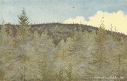 Der Floei En Fugl sobre Granehei Der Floei En Fugl sobre Granehei