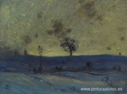 Campos de nieve, Tarde Campos de nieve, Tarde