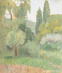 Paisaje de Juan-les-Pins Paisaje de Juan-les-Pins