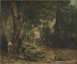 Refugio de ciervos en Plaisir Fontaine Creek Refugio de ciervos en Plaisir Fontaine Creek