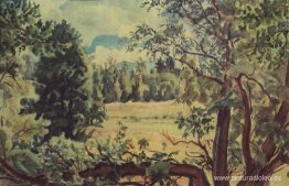 escena del bosque escena del bosque