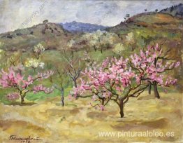 Crimea. Jardín de duraznos. Crimea. Jardín de duraznos.