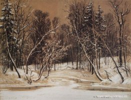 bosque en invierno bosque en invierno