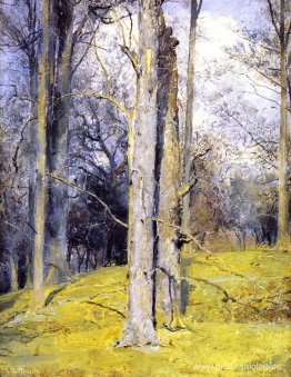 Invierno, Inglaterra Invierno, Inglaterra