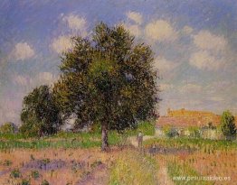 Sin título Sin título