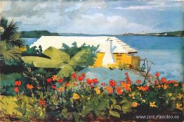 Jardín de flores y bungalow, Bermudas Jardín de flores y bungalow, Bermudas