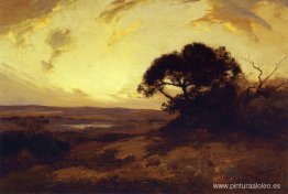 Noche dorada, suroeste de Texas Noche dorada, suroeste de Texas