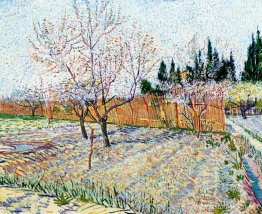 Huerto con melocotoneros en flor Huerto con melocotoneros en flor