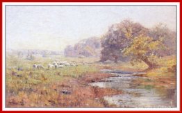 Mañana. la oveja Mañana. la oveja