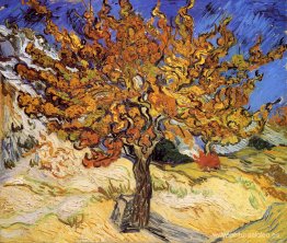 árbol de morera árbol de morera