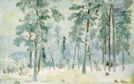 Bosque en la escarcha Bosque en la escarcha