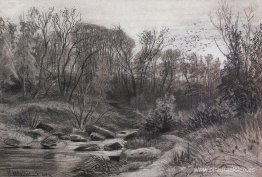 Arroyo del bosque. Noche Arroyo del bosque. Noche