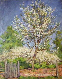 Manzano en flor Manzano en flor