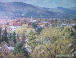 Sauces de primavera Sauces de primavera