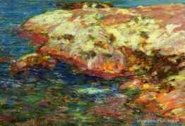 Isla de los bajíos Isla de los bajíos