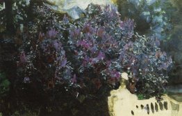 lilas lilas