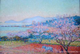 Las flores de almendro Las flores de almendro