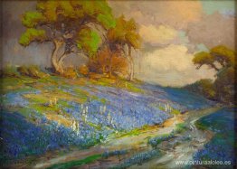 Tarde en los Bluebonnets, S. W. Texas Tarde en los Bluebonnets, S. W. Texas