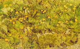 Un campo de flores amarillas Un campo de flores amarillas