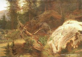 Piedras en el bosque Piedras en el bosque