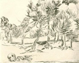 Un grupo de pinos Un grupo de pinos