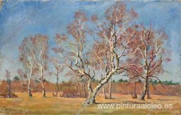 Principios de primavera. Abedules. Principios de primavera. Abedules.