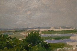 Colinas Shinnecock (Una vista de Shinnecock) Colinas Shinnecock (Una vista de Shinnecock)