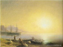 Baño de una oveja Baño de una oveja