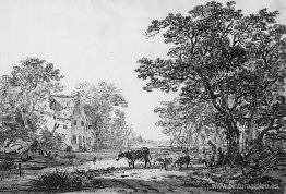 paisaje forestal paisaje forestal