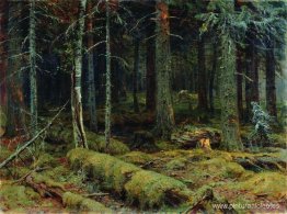 bosque oscuro bosque oscuro