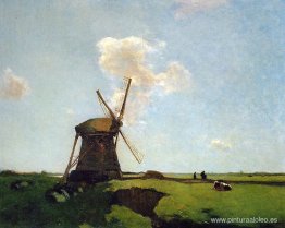 Paisaje de pólder Paisaje de pólder