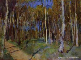 Primavera. martyshkino Primavera. martyshkino