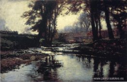 carrera agradable carrera agradable