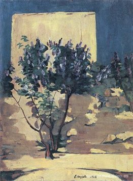 Un arbusto de lilas Un arbusto de lilas