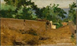 Camino - Capri Camino - Capri