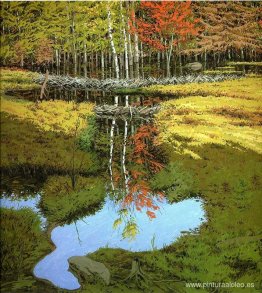 Nuevas represas en Meadow Nuevas represas en Meadow