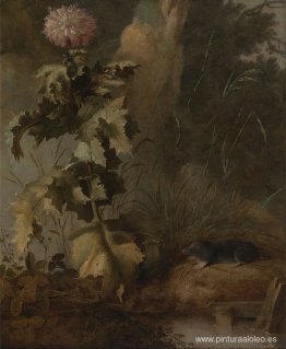 Una amapola egipcia y un topo de agua Una amapola egipcia y un topo de agua