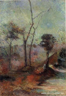 Paisaje Paisaje