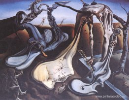 Araña de la noche Araña de la noche