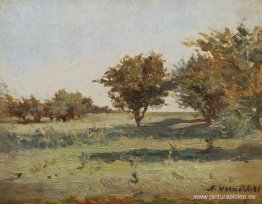 dia de verano dia de verano