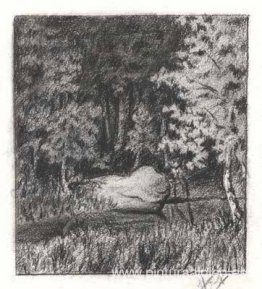 Decocción Decocción