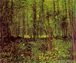 Árboles y maleza Árboles y maleza