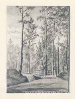 Segundo puente en el camino hacia la era en el bosque estatal Segundo puente en el camino hacia la era en el bosque estatal